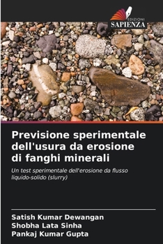 Previsione sperimentale dell'usura da erosione di fanghi minerali (Italian Edition)