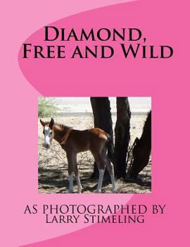 Paperback Diamond, Free and Wild Book