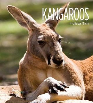 Library Binding Kangaroos Book
