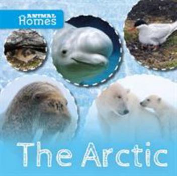 Hardcover The Arctic (Animal Homes) Book