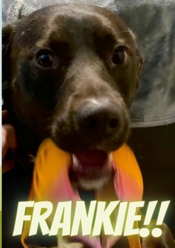 Paperback Frankie Book