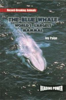 Library Binding The Blue Whale: World's Largest Mammal Book
