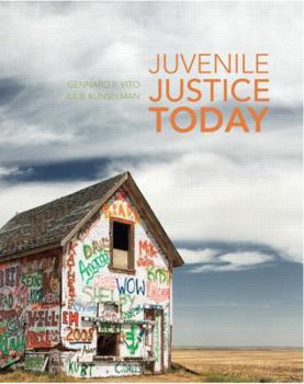 Paperback Vito: Juvenile Justice Book