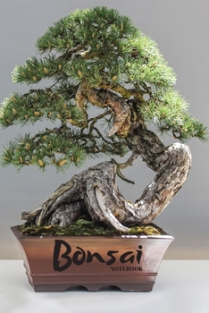 Paperback Bonsai: Notebook Book