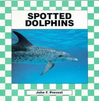 Library Binding Spotted Dolphins Book