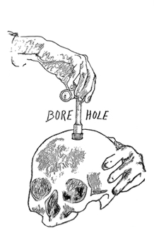 Paperback Bore Hole Book
