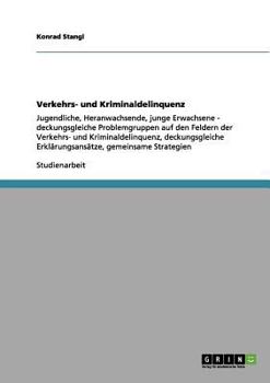 Paperback Verkehrs- und Kriminaldelinquenz: Jugendliche, Heranwachsende, junge Erwachsene - deckungsgleiche Problemgruppen auf den Feldern der Verkehrs- und Kri [German] Book
