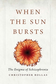 Hardcover When the Sun Bursts: The Enigma of Schizophrenia Book
