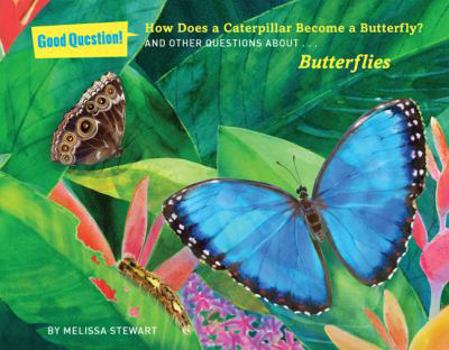 How Does a Caterpillar Become a Butterfly?: And Other Questions About Butterflies - Book  of the Good Question!