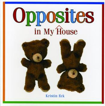 Board book Opposites in My House Book