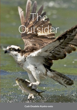 Paperback The Outsider Book