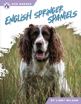 Paperback English Springer Spaniels Book