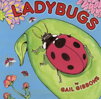 Paperback Ladybugs Book