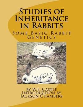 Paperback Studies of Inheritance in Rabbits: Some Basic Rabbit Genetics Book