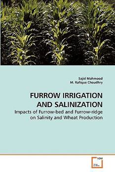 Paperback Furrow Irrigation and Salinization Book