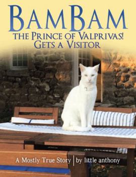 Paperback BamBam the Prince of Valprivas! Gets a Visitor: A Mostly True Story Book