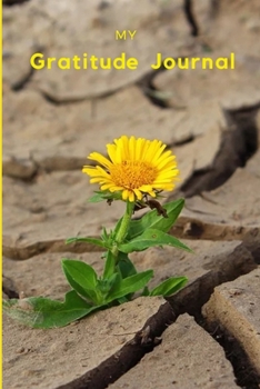 Paperback My Gratitude Journal: A5 Sized Year-long Gratitude Journal / Diary / Notebook, 425 Pages Book