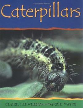 Paperback Caterpillars-PB Book