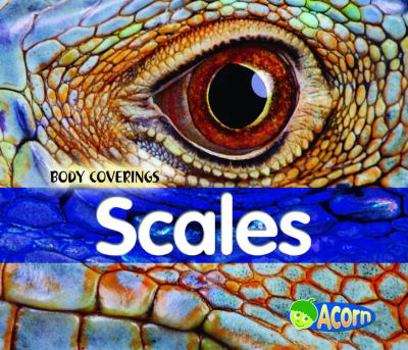 Paperback Scales Book