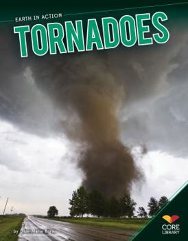 Paperback Tornadoes Book