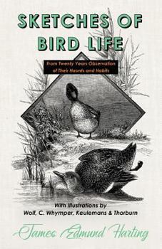 Paperback Sketches of Bird Life - From Twenty Years Observation of Their Haunts and Habits - With Illustrations by Wolf, C. Whymper, Keulemans, and Thorburn Book