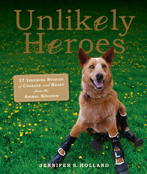 Paperback Unlikely Heroes: 37 Inspiring Stories of Courage and Heart from the Animal Kingdom Book