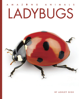 Library Binding Ladybugs Book