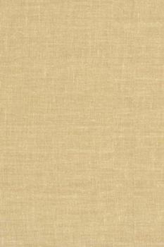 Hardcover The Genius Figure in Antiquity and the Middle Ages Book