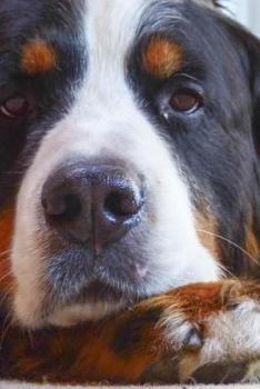Bernese Mountain Dog Resting on His Paws : Blank 150 Page Lined Journal for Your Thoughts, Ideas, and Inspiration