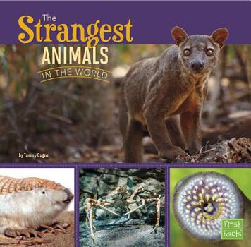 The Strangest Animals in the World - Book  of the All About Animals