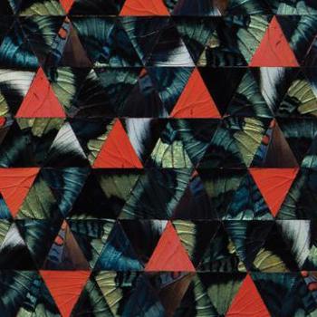 Music - CD Diatom Ribbons Live At The Village Vangu Book