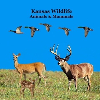 Kansas Animals and Mammals Kids Wildlife Book: Great Kansas Animals book with Lifelike Images and Fun Facts