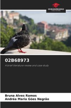 02B68973: A brief literature review and case study