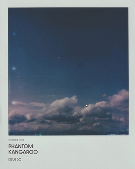 Paperback issue 30 Book