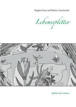 Paperback Lebenssplitter: Splitter des Lebens [German] Book