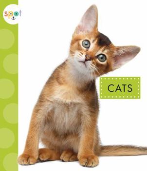 Paperback Cats Book