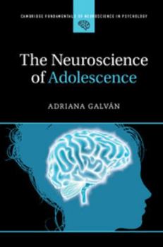 The Neuroscience of Adolescence - Book  of the Cambridge Fundamentals of Neuroscience in Psychology