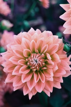 Journal: 150 Lined & Dated Pages, 6x9 Inches, Inspirational Flower, Diary & Notebook for Writing, Brainstorming, Note-Taking, Relieving Stress & More (PEACH)