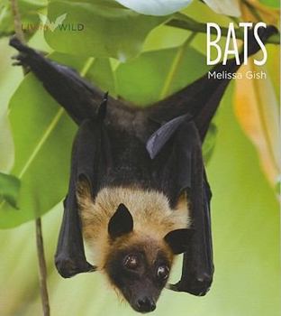 Bats - Book  of the Living Wild