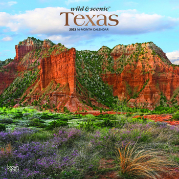 Calendar Texas Wild & Scenic 2023 Square Foil Book