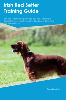 Paperback Irish Red Setter Training Guide Irish Red Setter Training Includes: Irish Red Setter Tricks, Socializing, Housetraining, Agility, Obedience, Behaviora Book