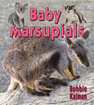 Hardcover Baby Marsupials Book