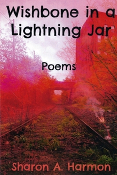 Paperback Wishbone in a Lightning Jar: Poems Book