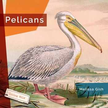 Paperback Pelicans Book