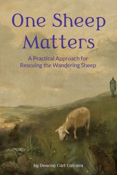 Paperback One Sheep Matters: A Practical Approach for Rescuing the Wandering Sheep Book