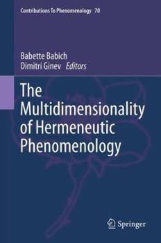 Hardcover The Multidimensionality of Hermeneutic Phenomenology Book