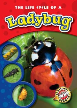 Life Cycle of a Ladybug - Book  of the Life Cycles