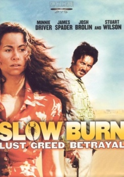 DVD Slow Burn Book