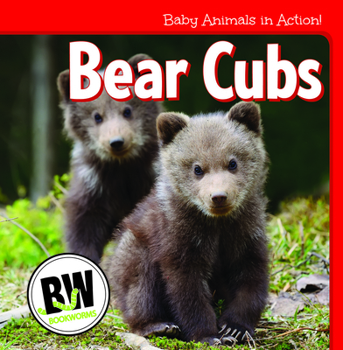 Library Binding Bear Cubs Book