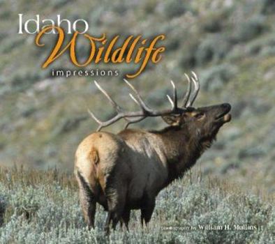 Paperback Idaho Wildlife Impressions Book